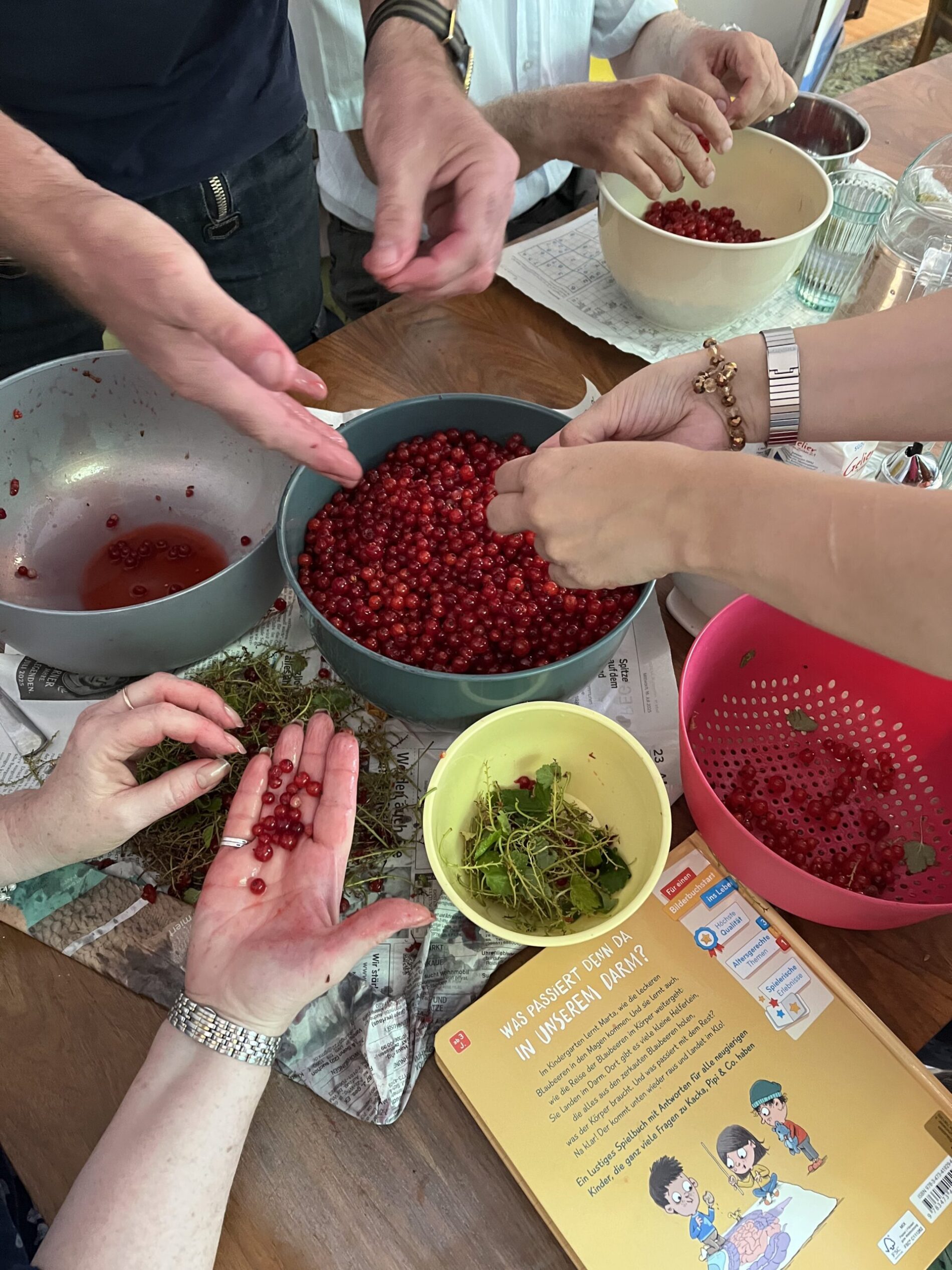 Marmelade kochen von gespendeten roten Johannisbeeren 17.07.2025 (C. Blessing-Win)